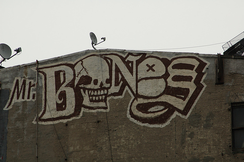 Booker/Bones/Reader... Photo by hghwtr