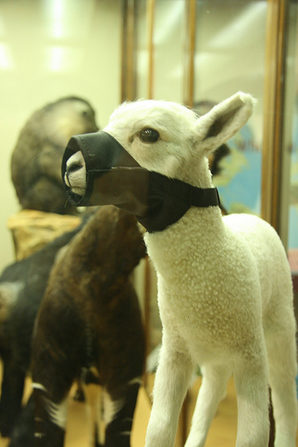 Banksy Lamb