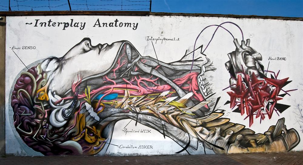 By Asker, Senso, Weik and Banc