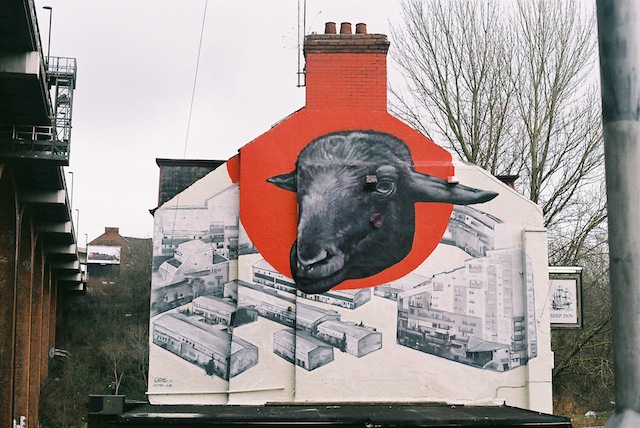 The Sheep Above Byker Wall