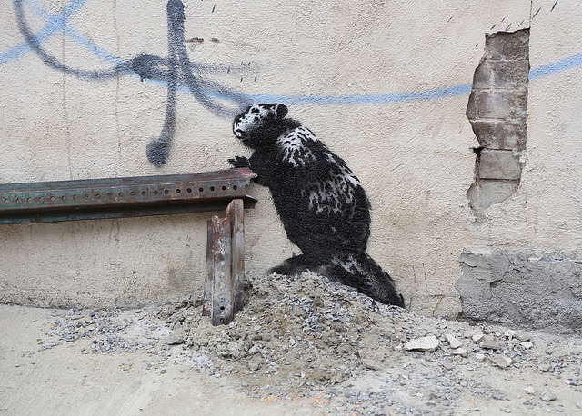 Banksy. Photo by carnagenyc.