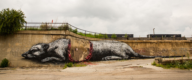 Roa in Chicago, a mural organized by Pawn Works. Photo by Kevin Tao.